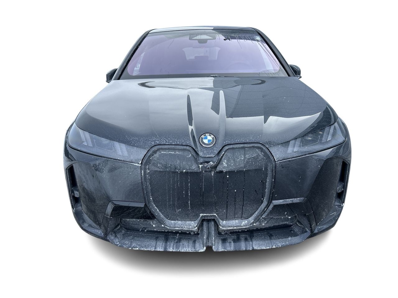 2026 BMW iX