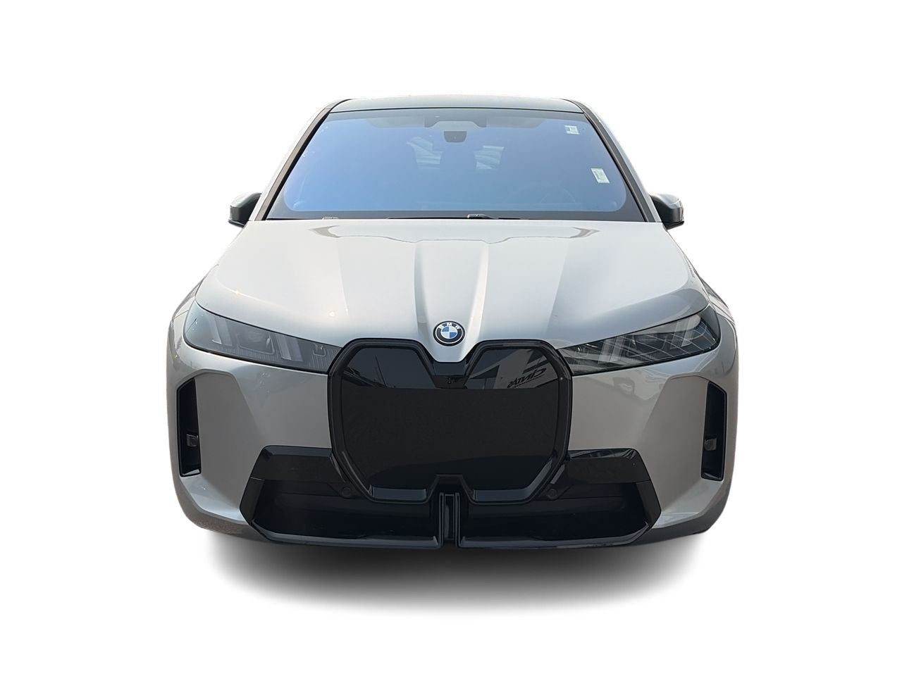 2026 BMW iX