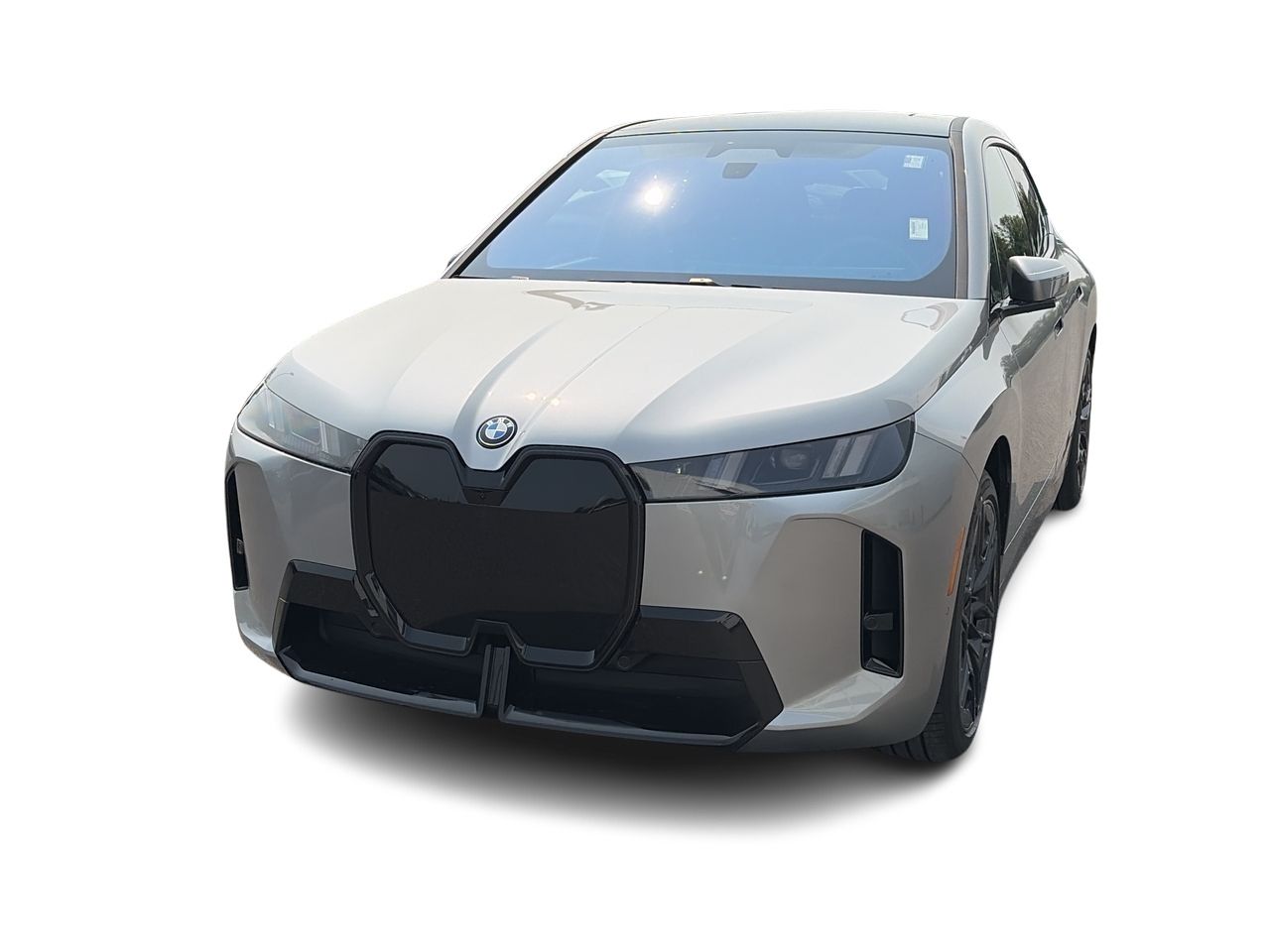 2026 BMW iX