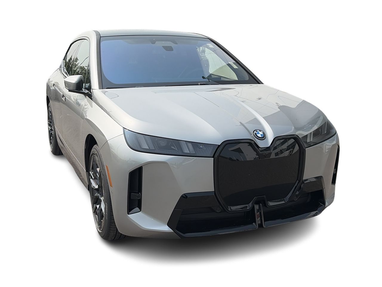 2026 BMW iX