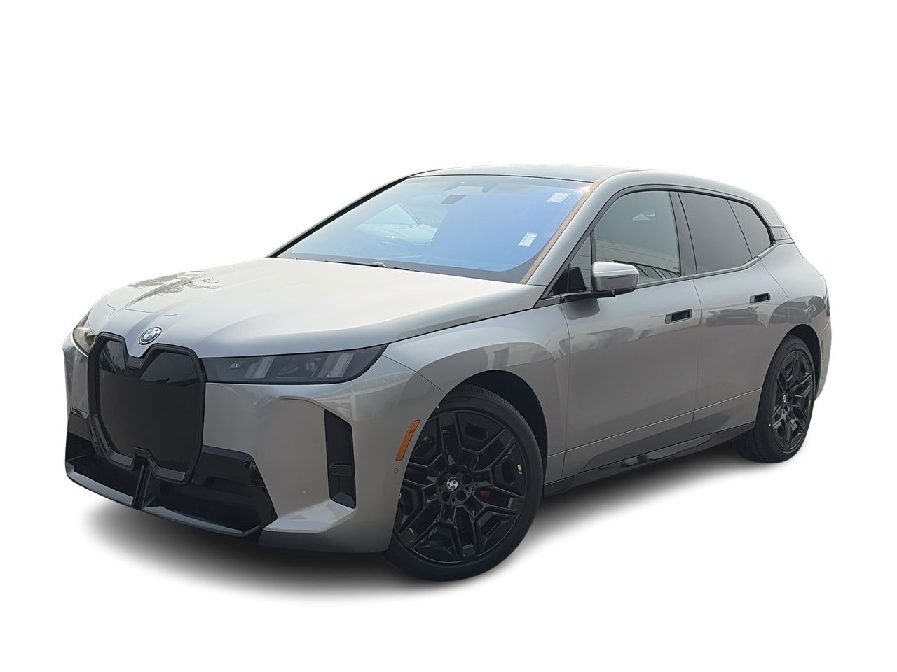 2026 BMW iX