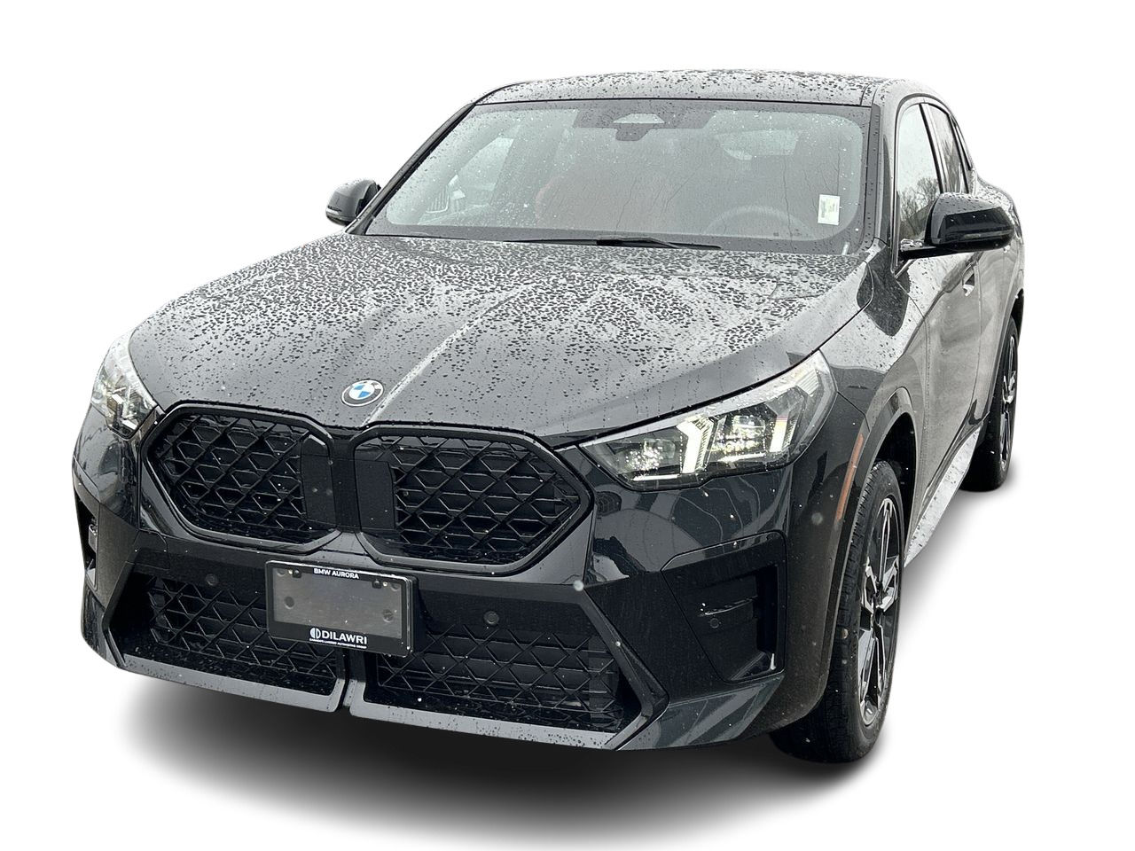 2025 BMW X2