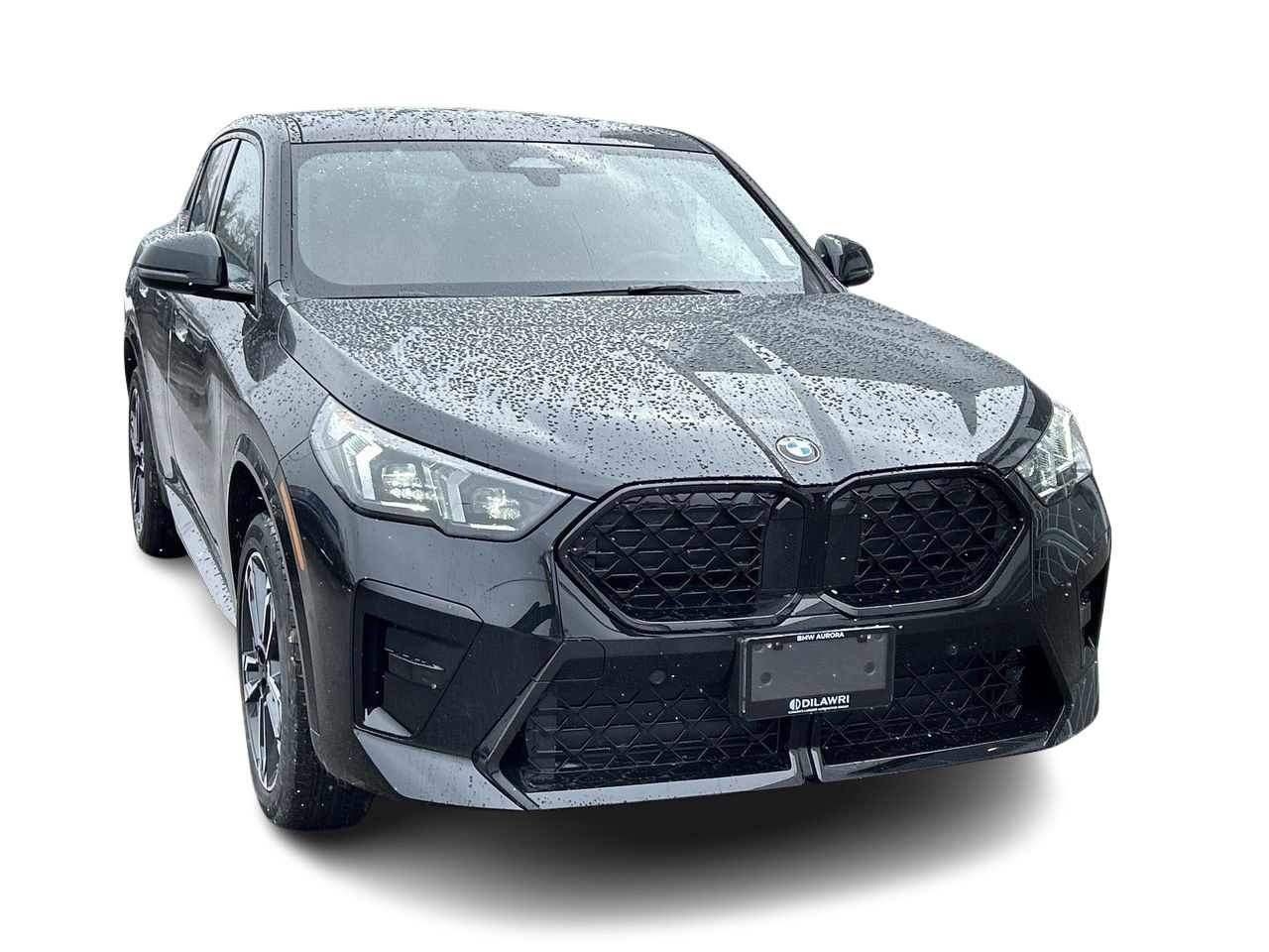 2025 BMW X2