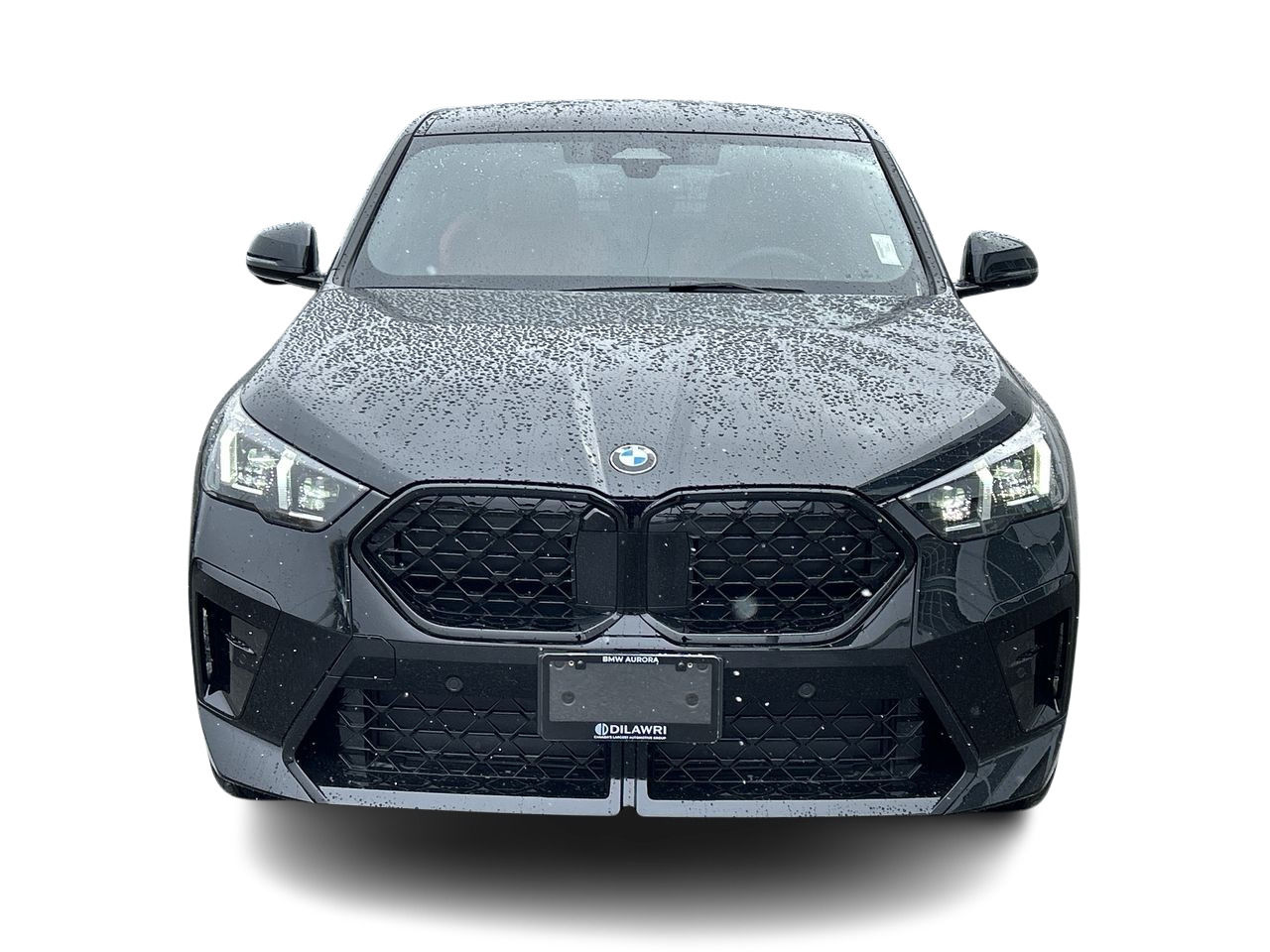 2025 BMW X2