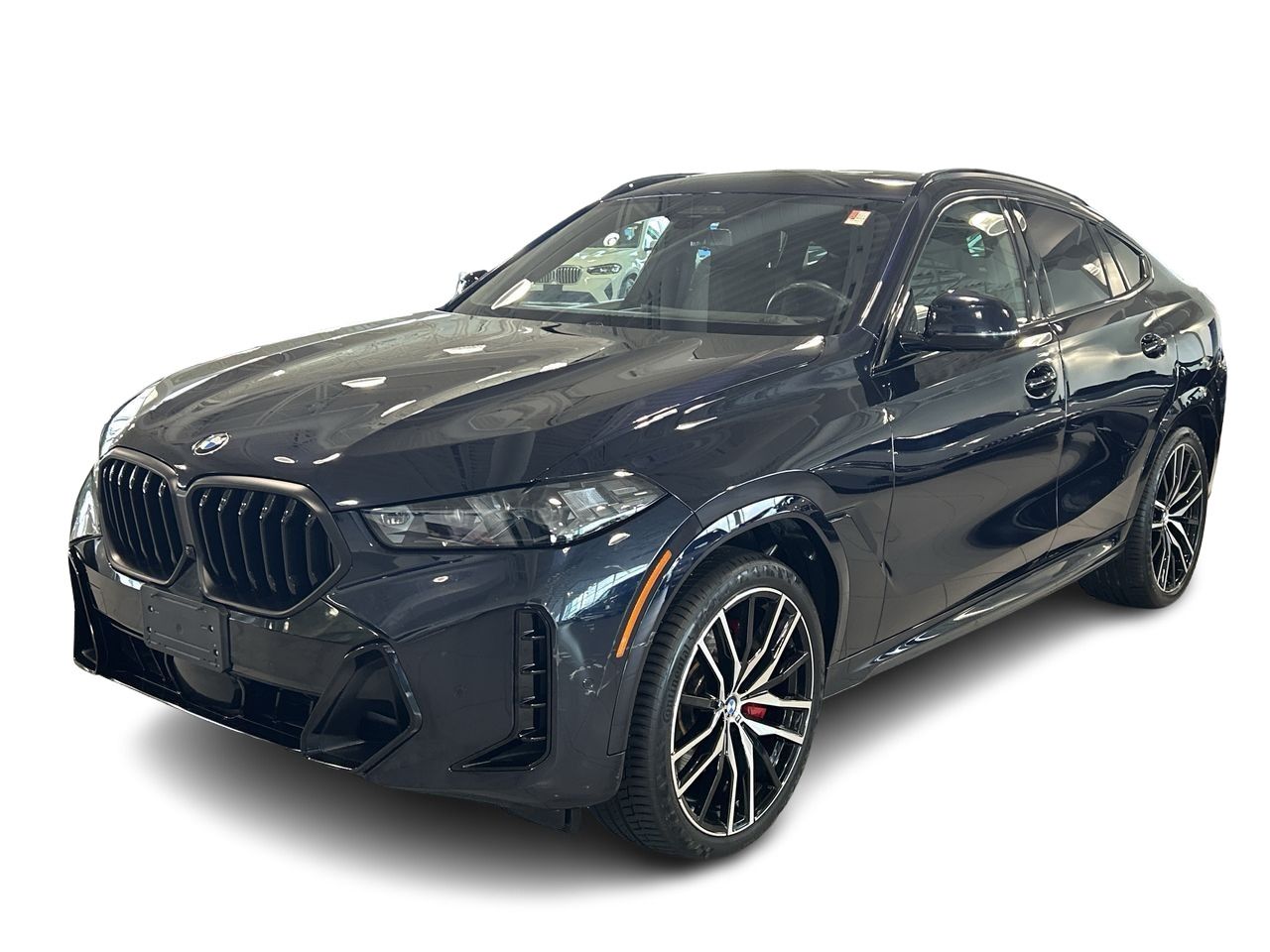 2024 BMW X6
