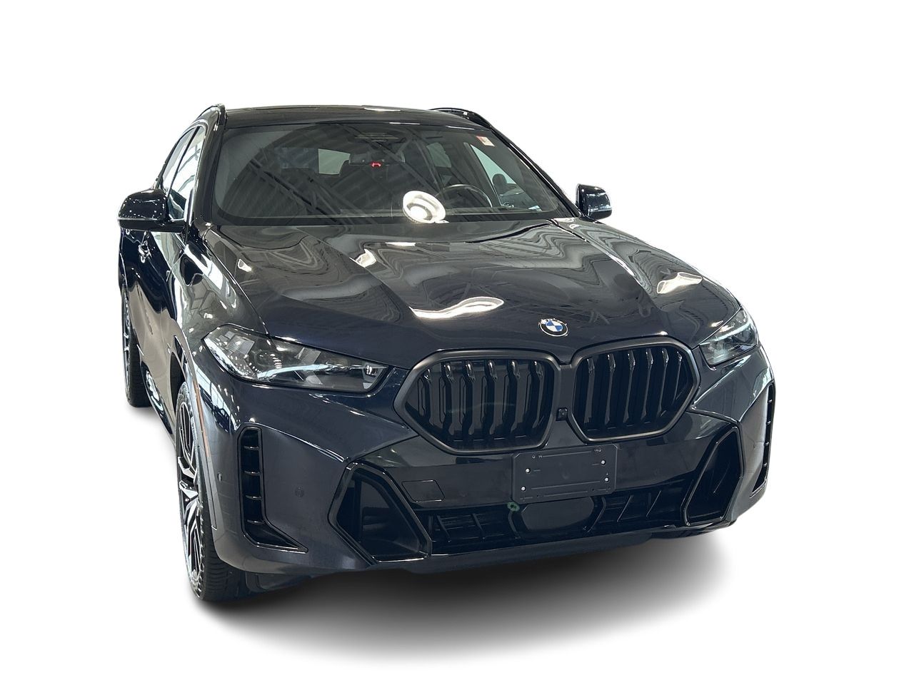 2024 BMW X6