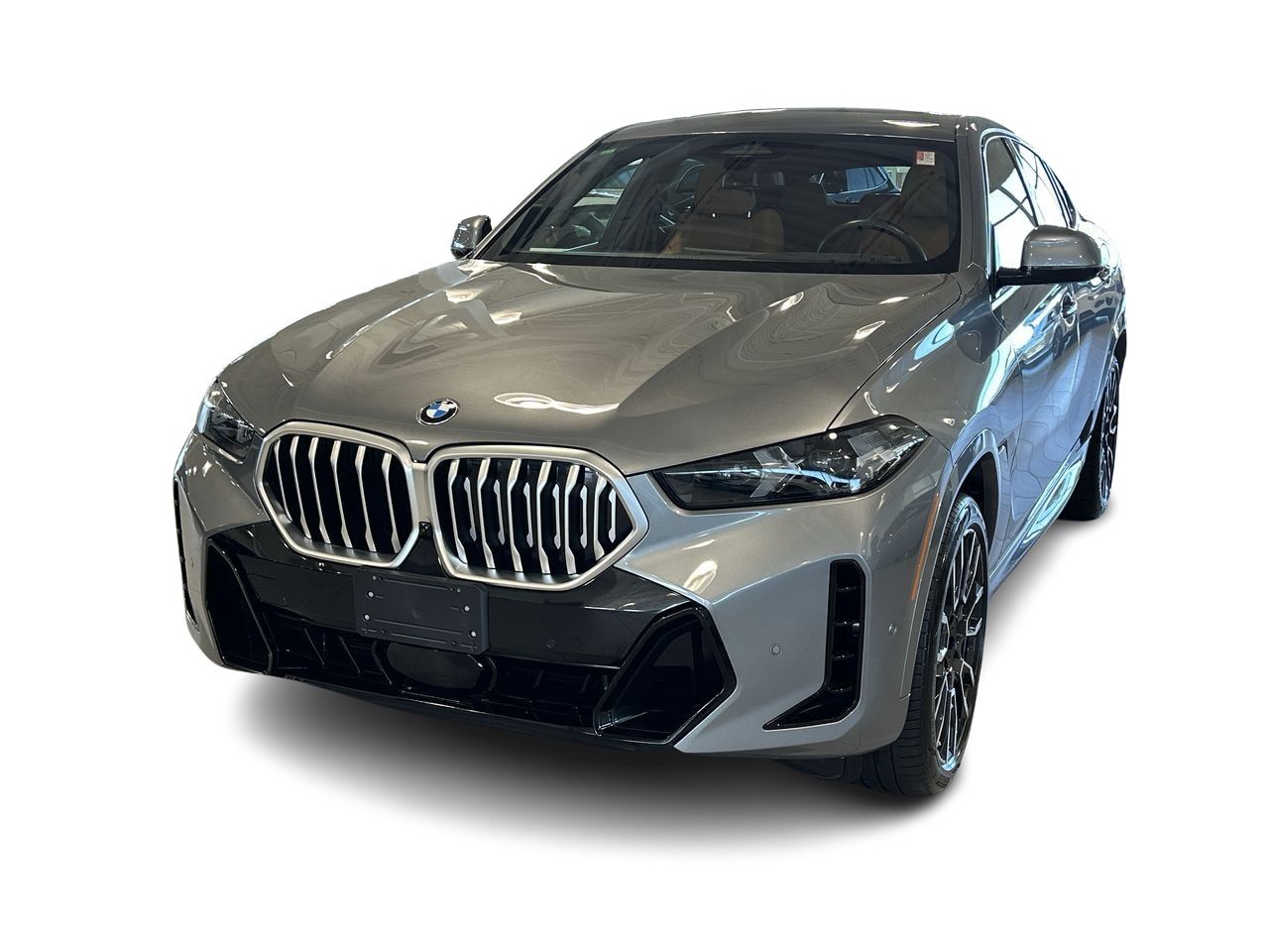 2024 BMW X6