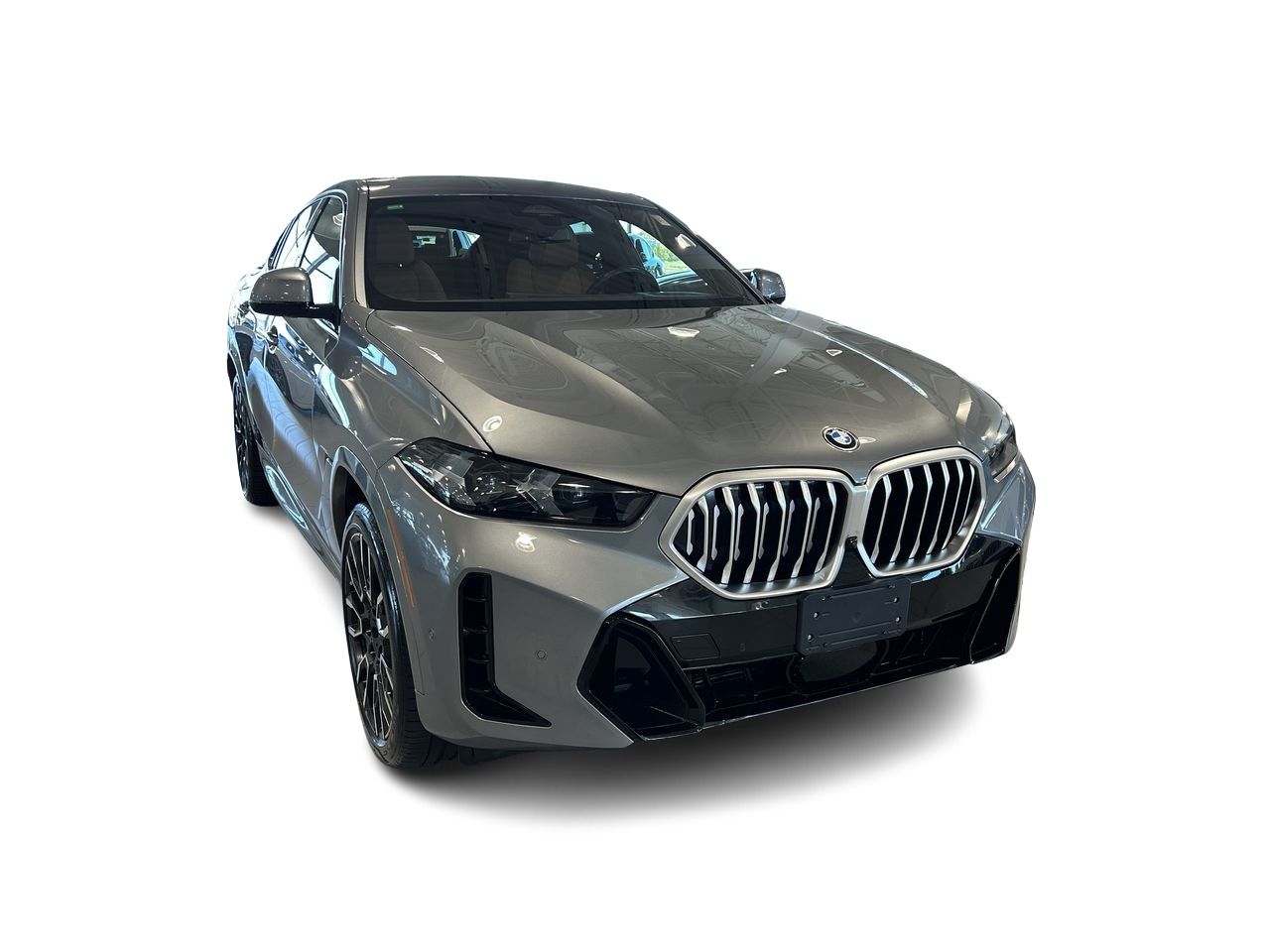 2024 BMW X6