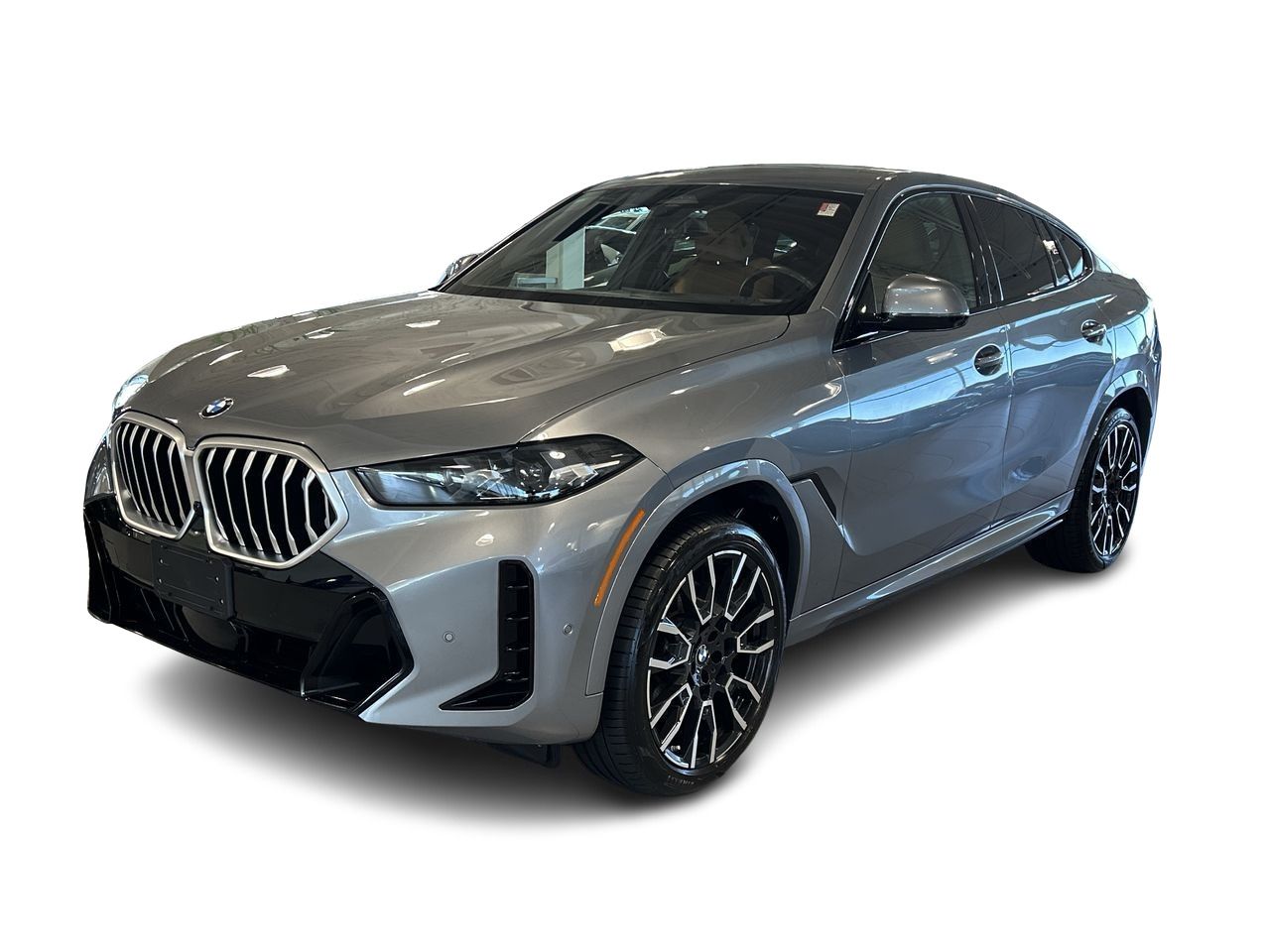 2024 BMW X6