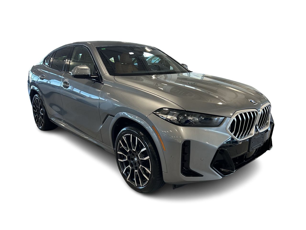 2024 BMW X6