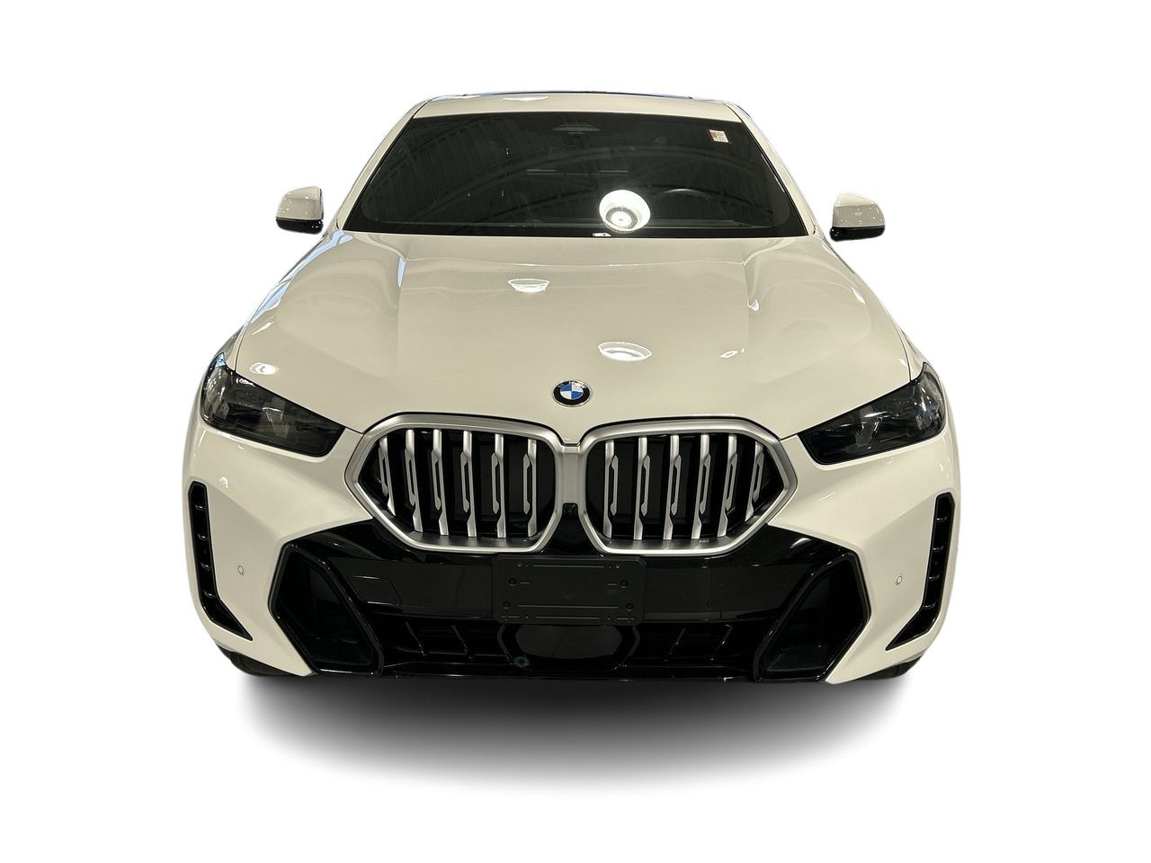 2024 BMW X6