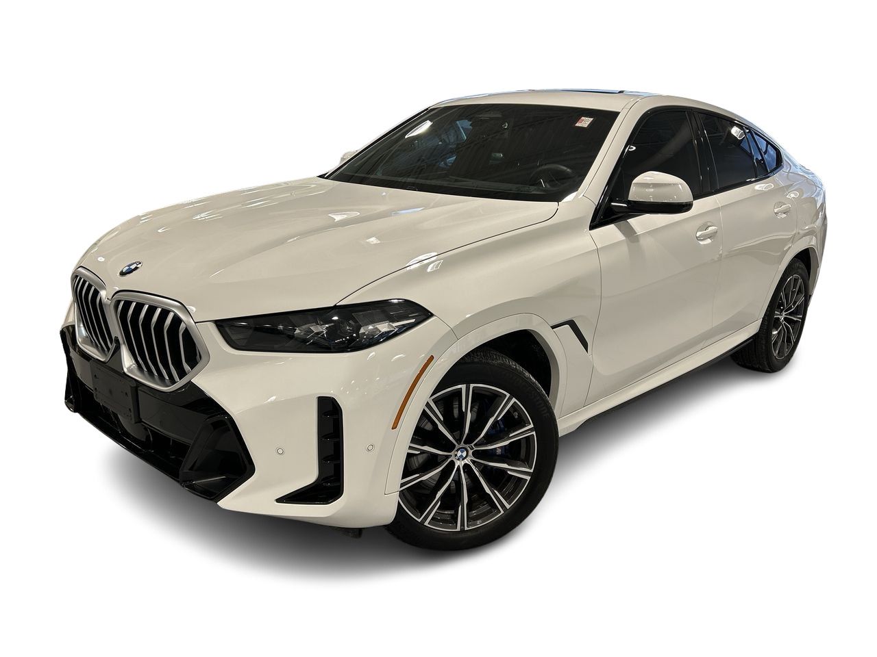 2024 BMW X6