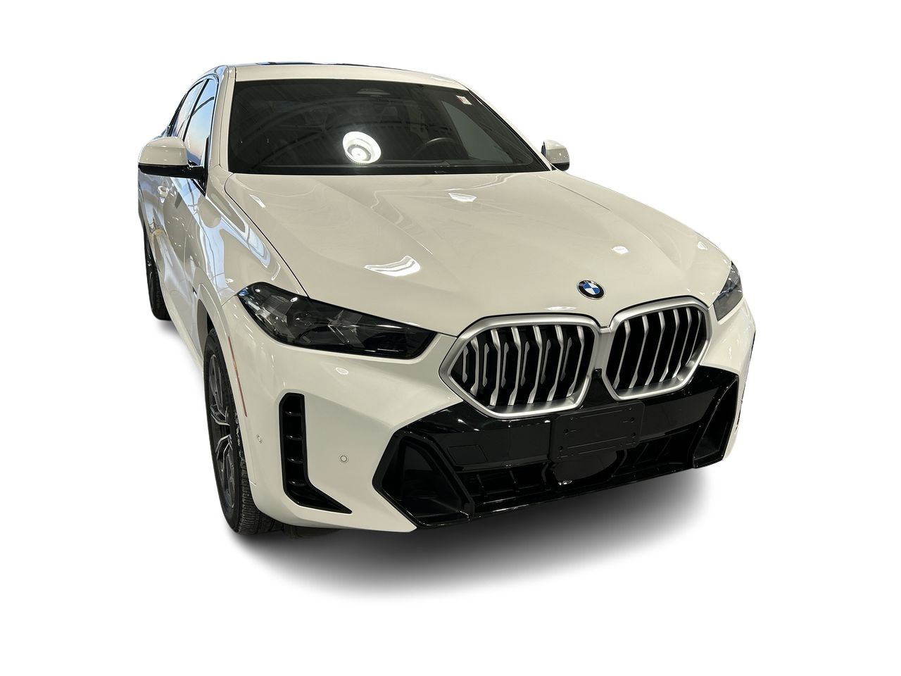 2024 BMW X6