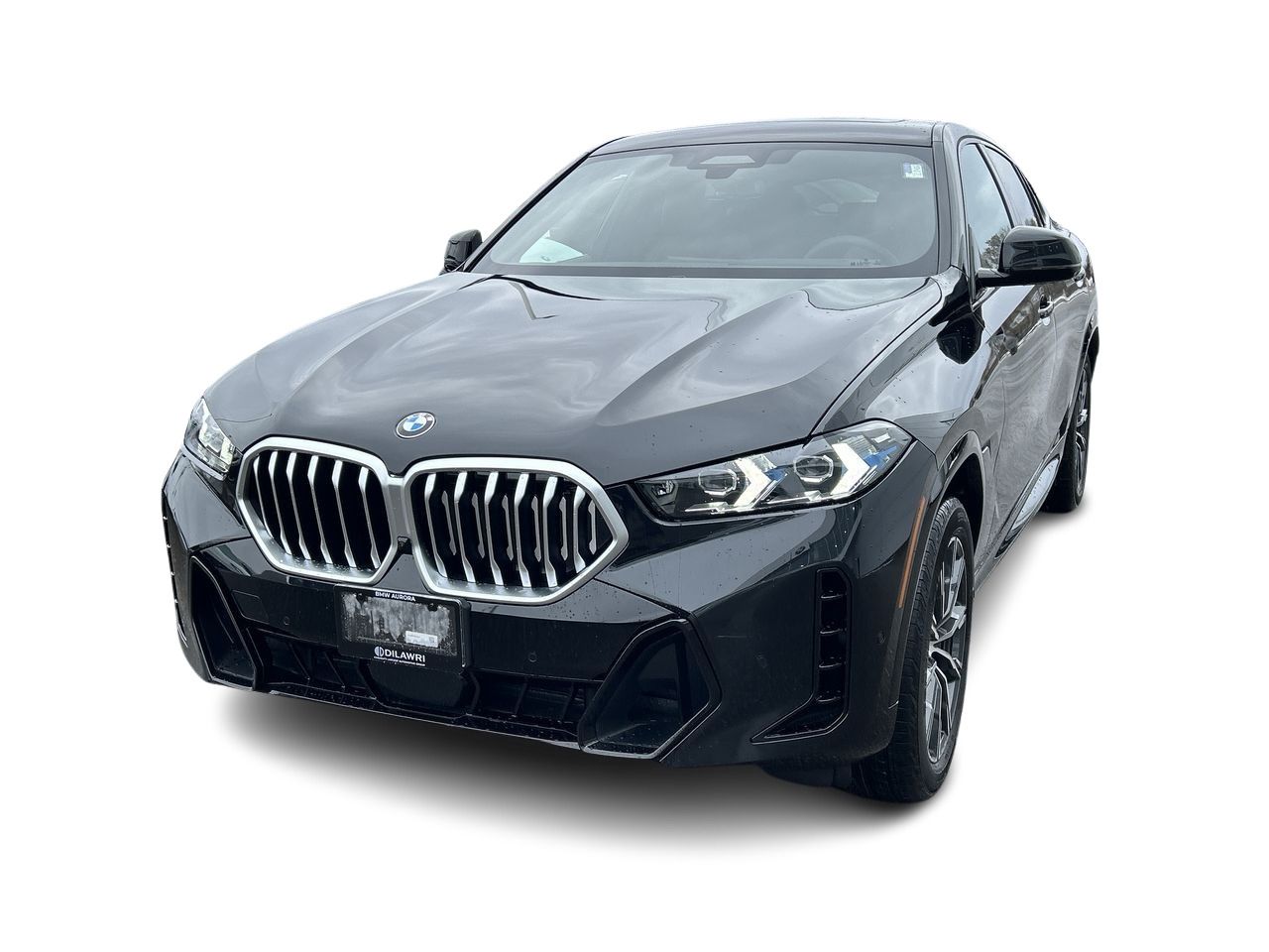 2026 BMW X6