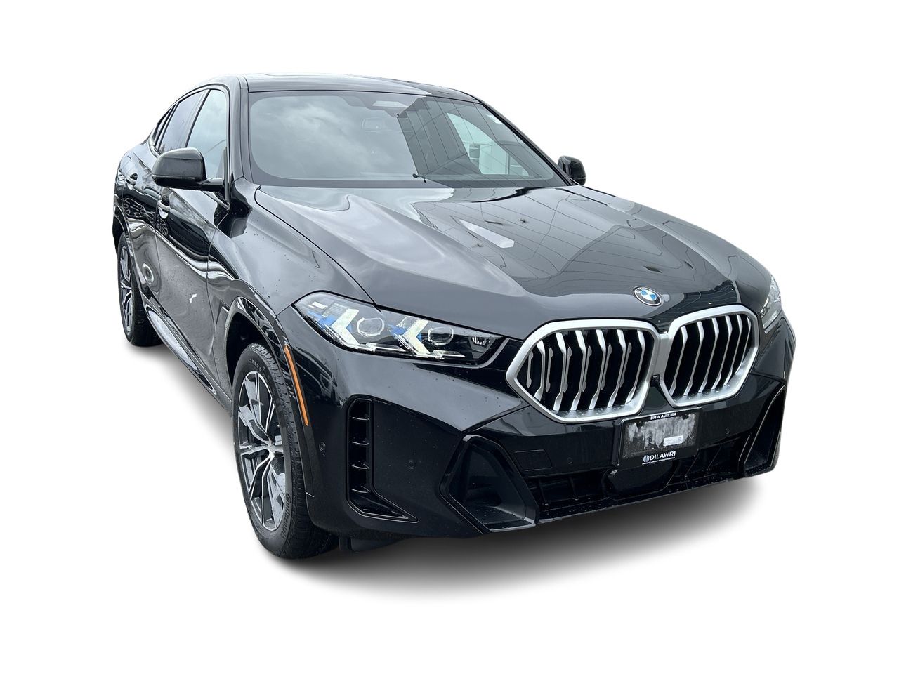 2026 BMW X6