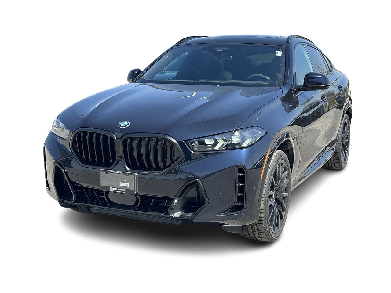2026 BMW X6