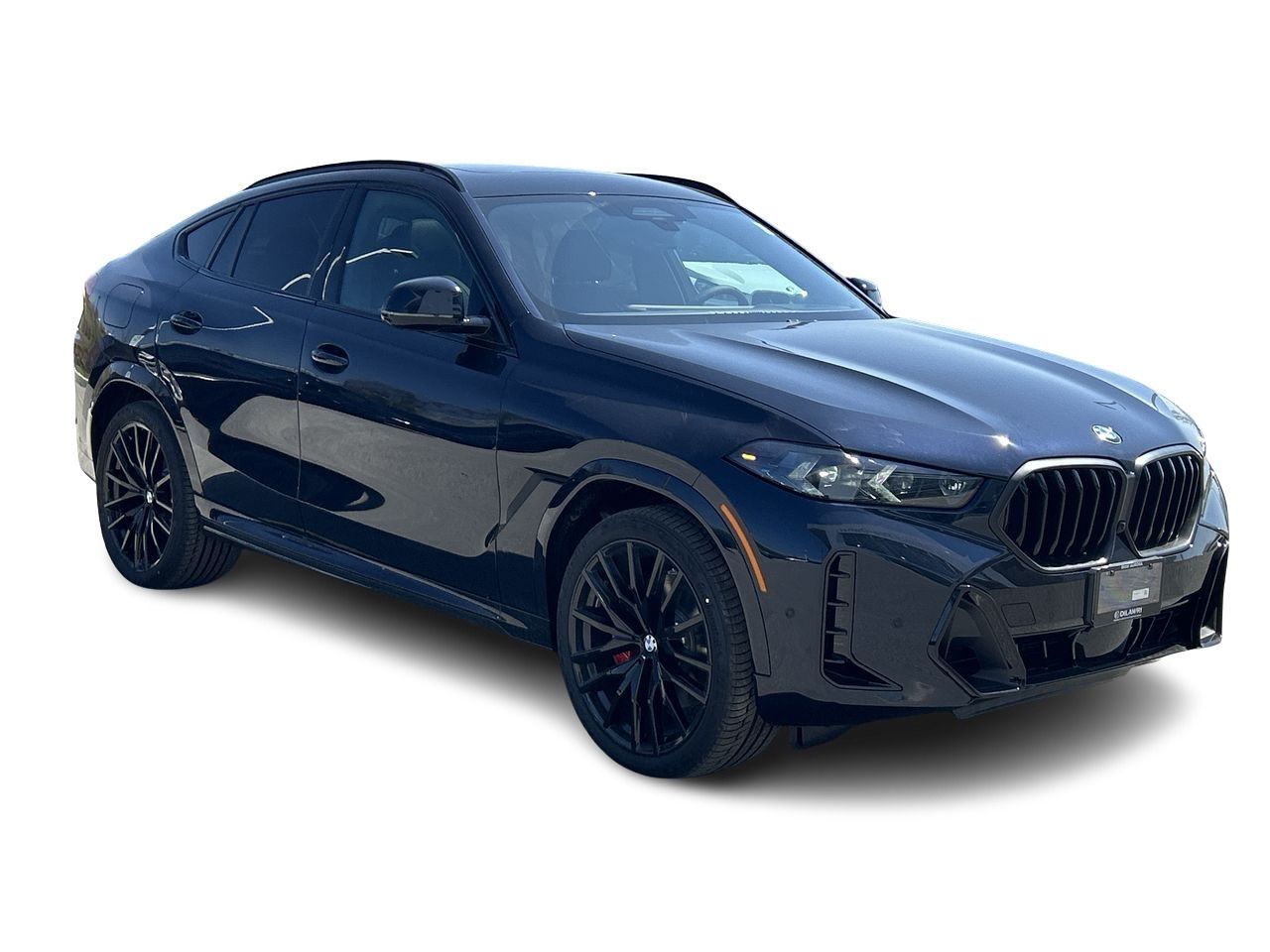 2026 BMW X6