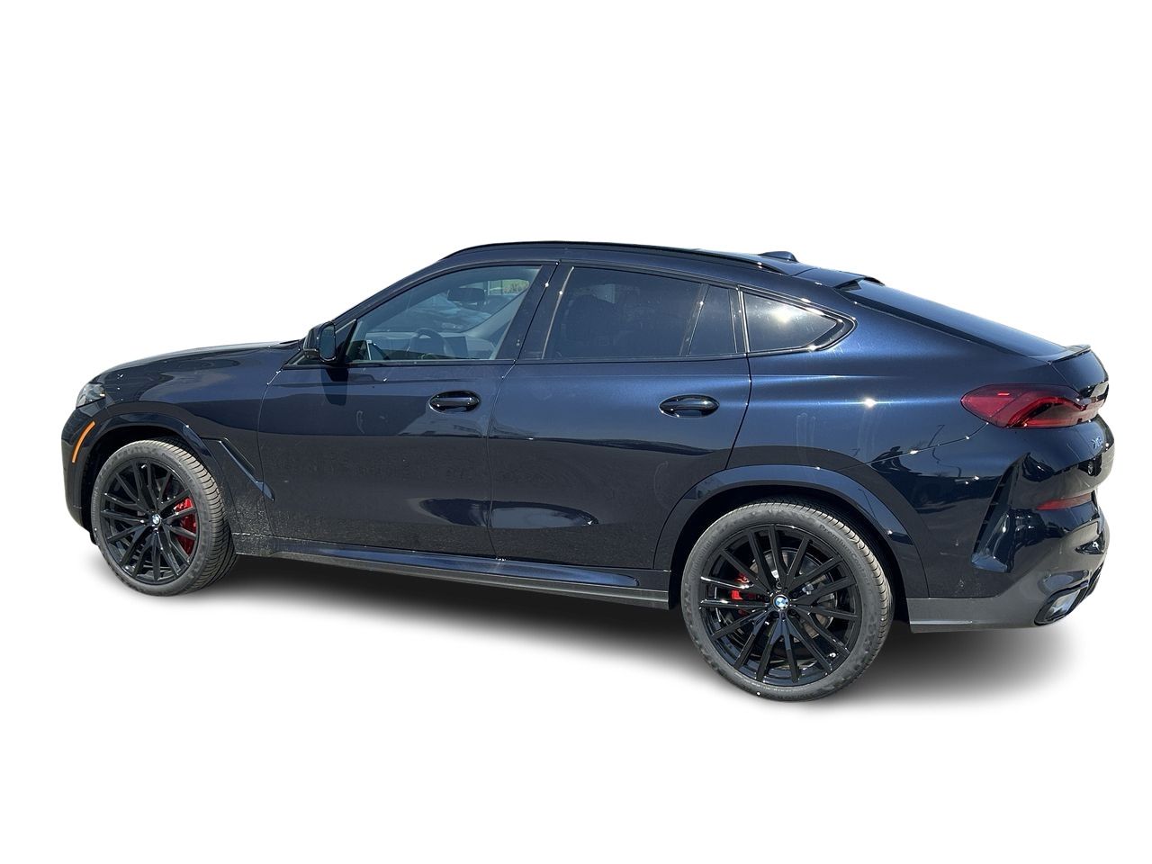 2026 BMW X6
