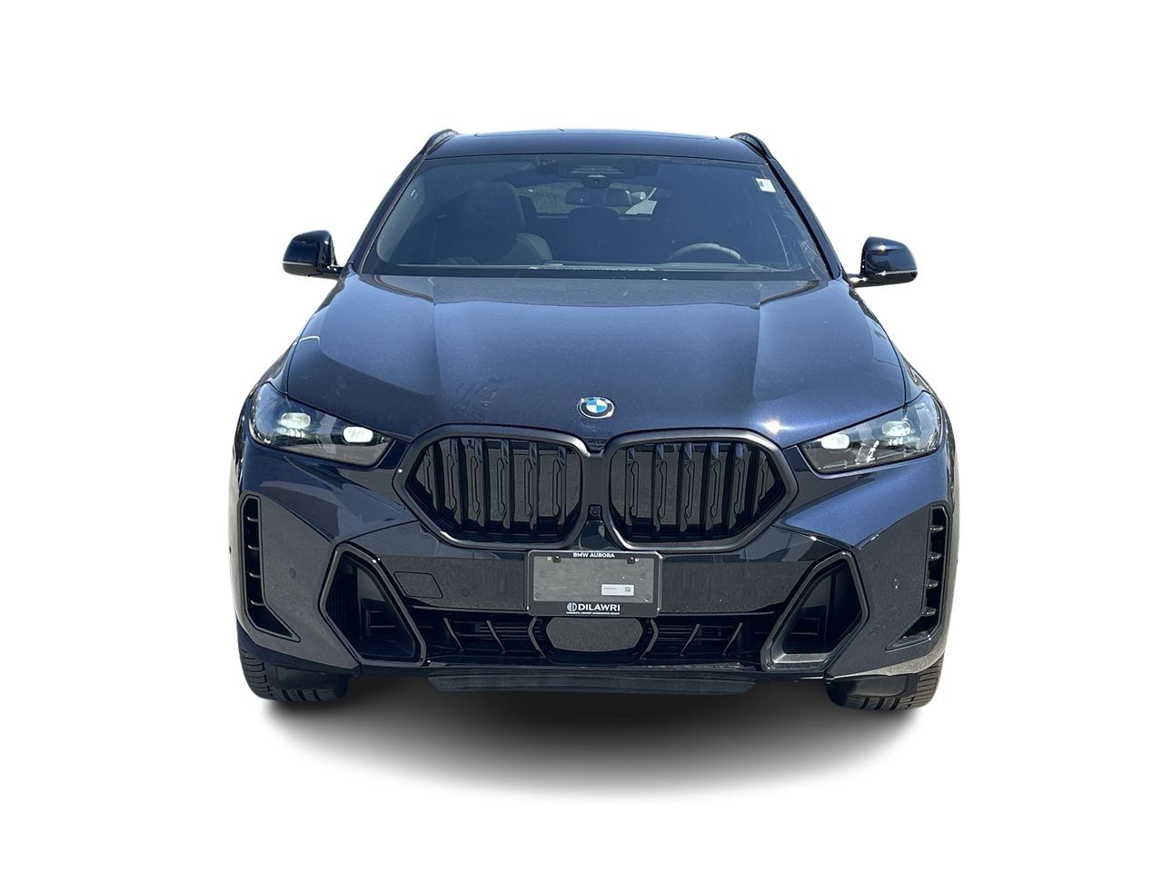 2026 BMW X6