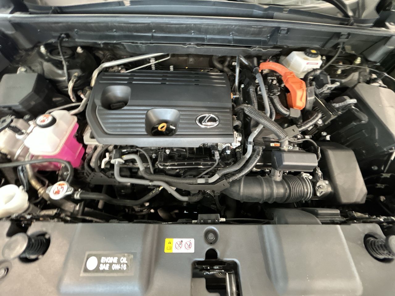 2023 Lexus NXH in Aurora, Ontario