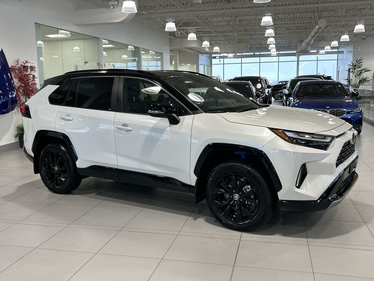 2025 Toyota RAV4 Hybrid