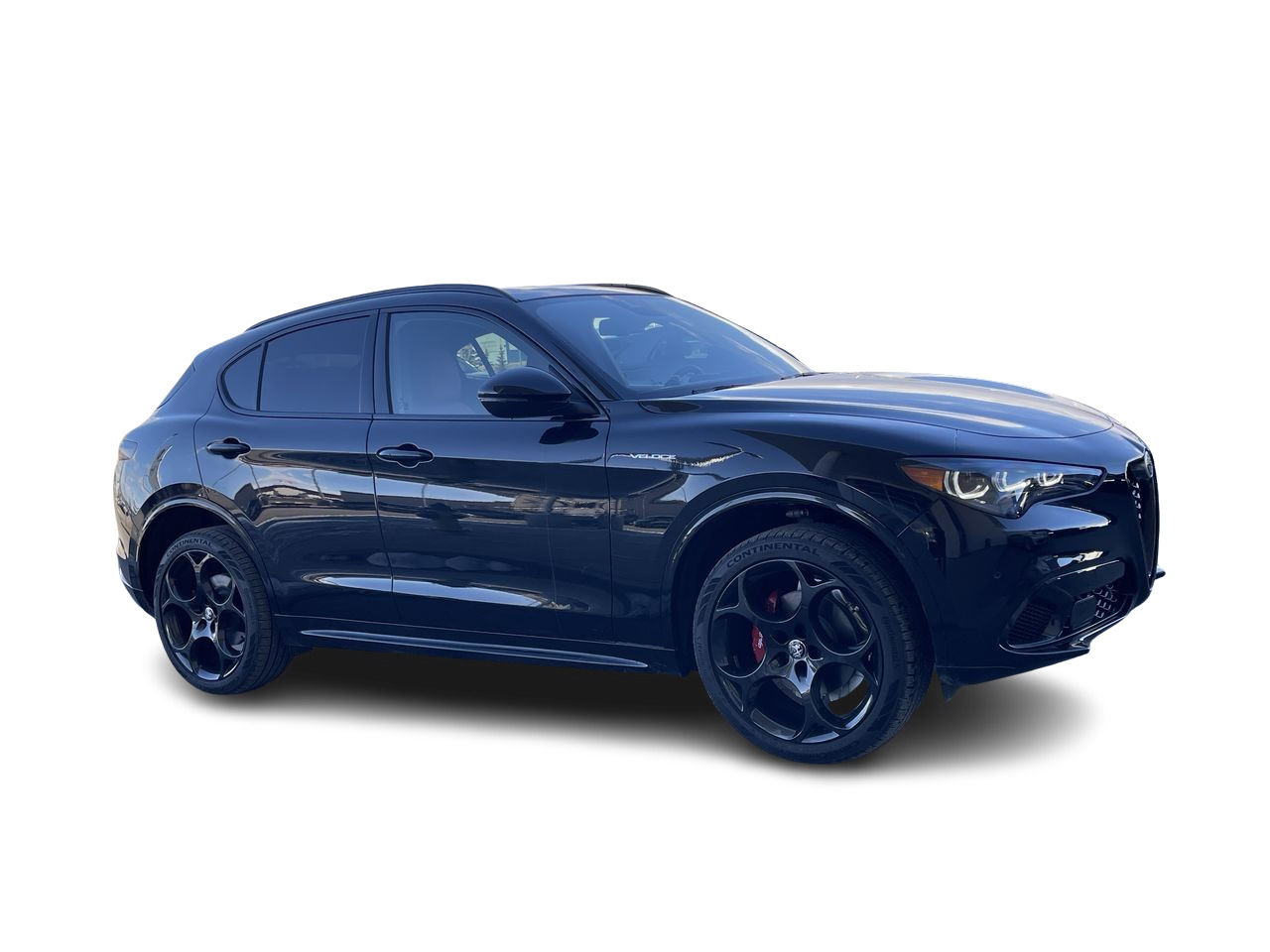 Alfa Romeo Stelvio  2024 à Calgary, Alberta