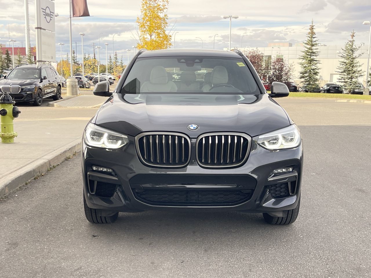 2021 BMW X3
