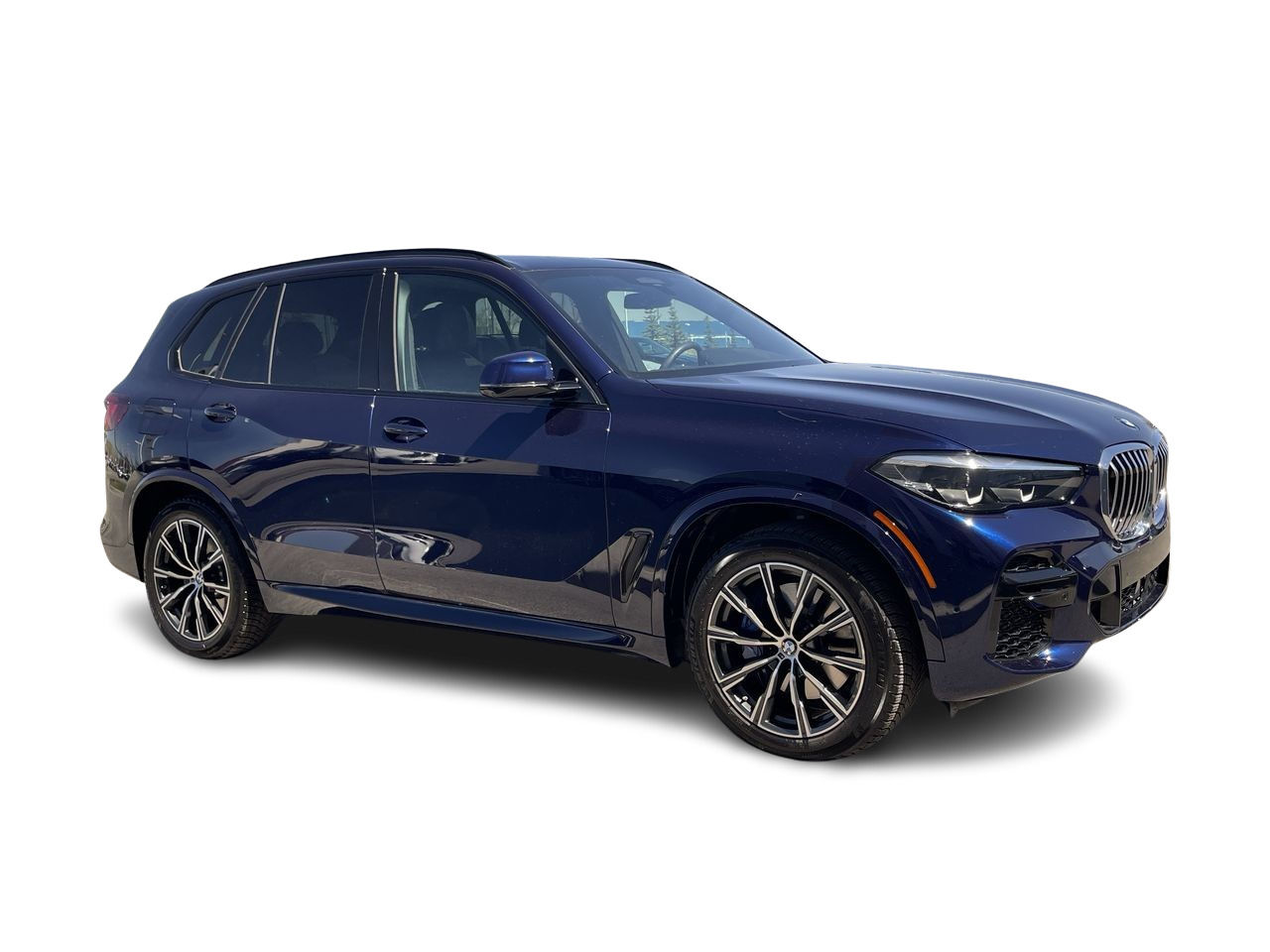 2023 BMW X5 in Calgary, Alberta