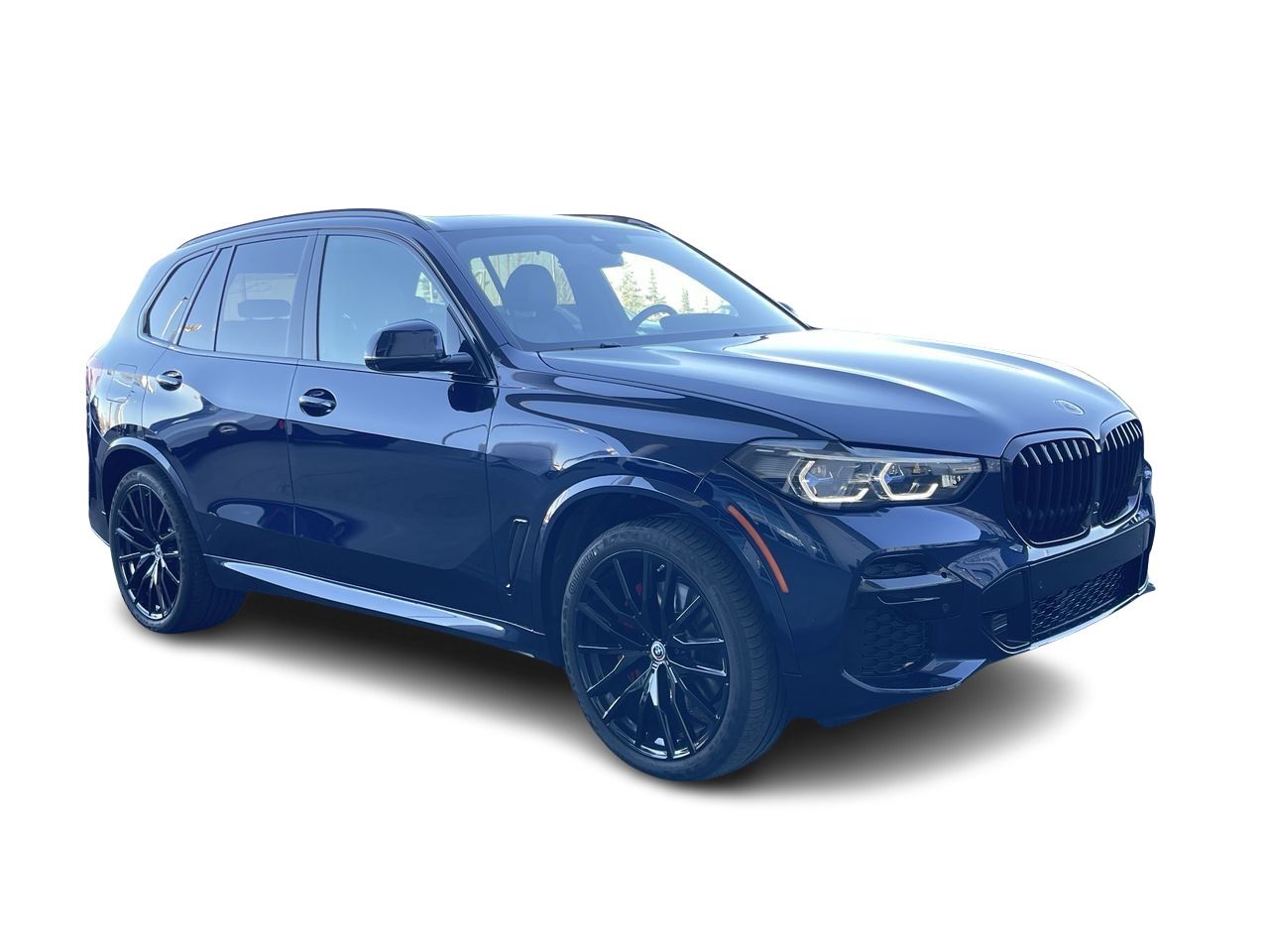 2023 BMW X5