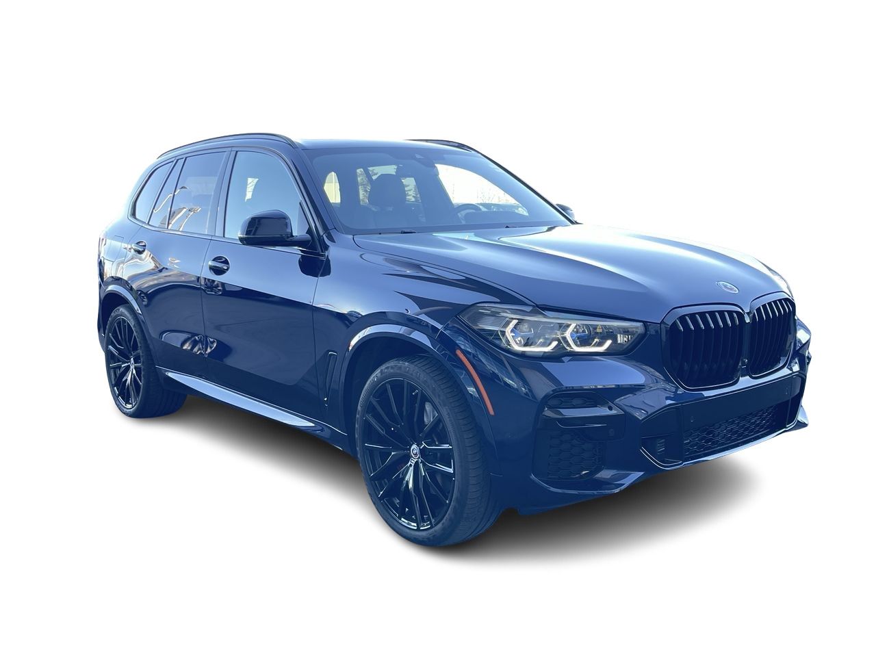 2023 BMW X5