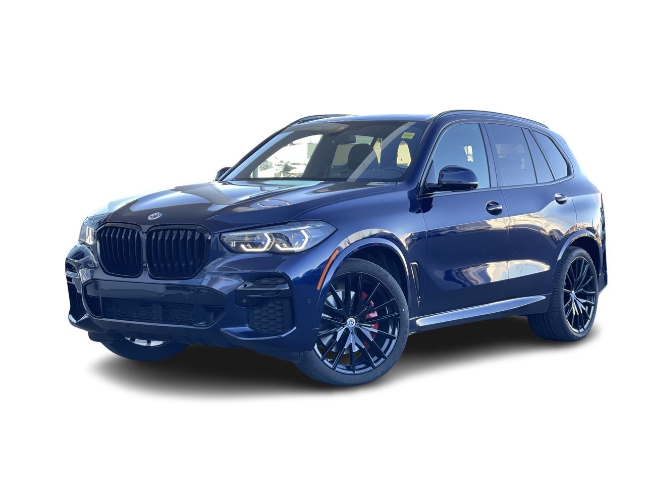2023 BMW X5