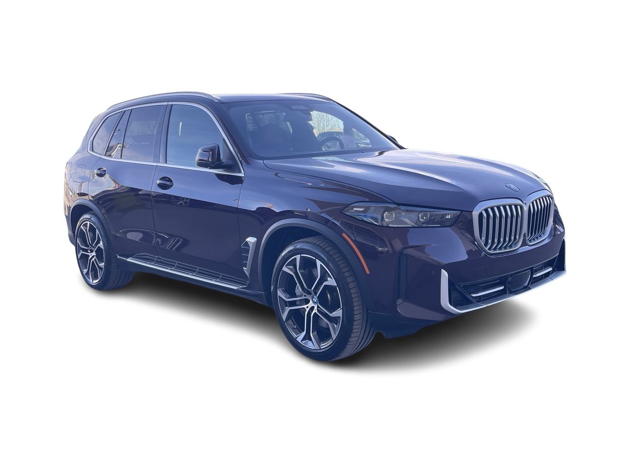 2025 BMW X5 in Calgary, Alberta