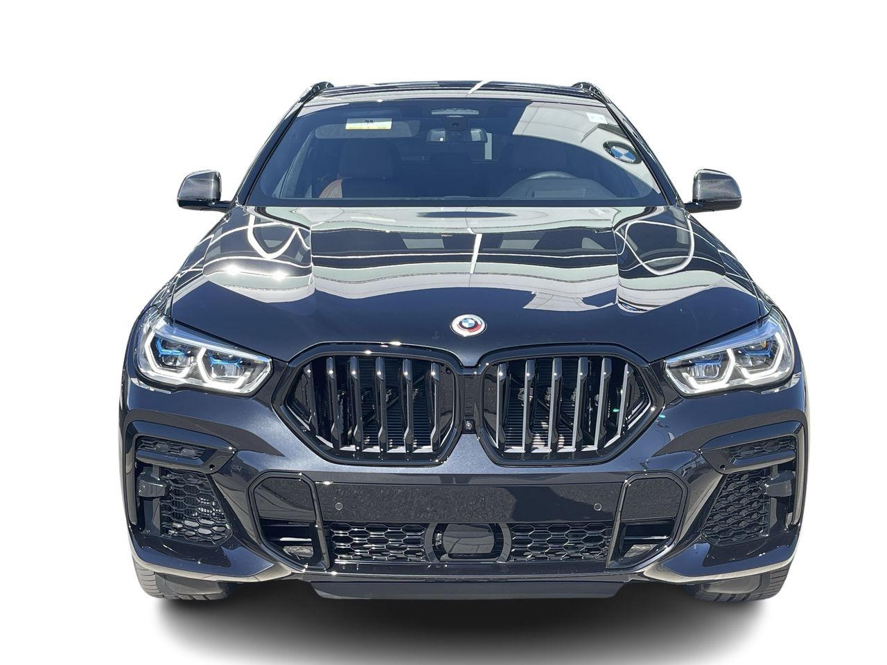 2023 BMW X6