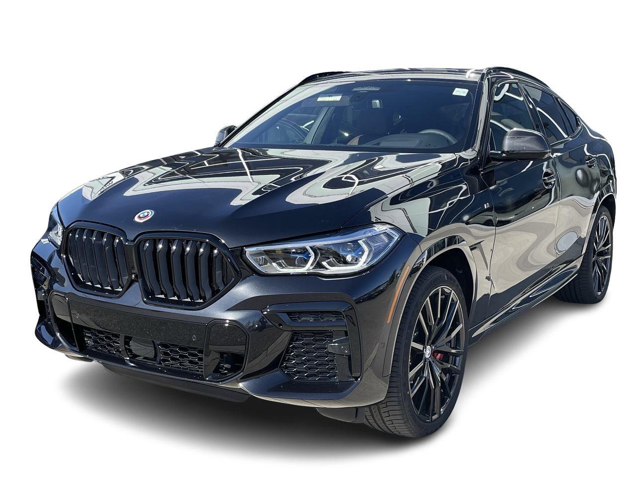 2023 BMW X6