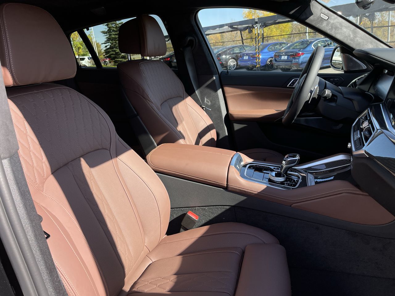 2023 BMW X6