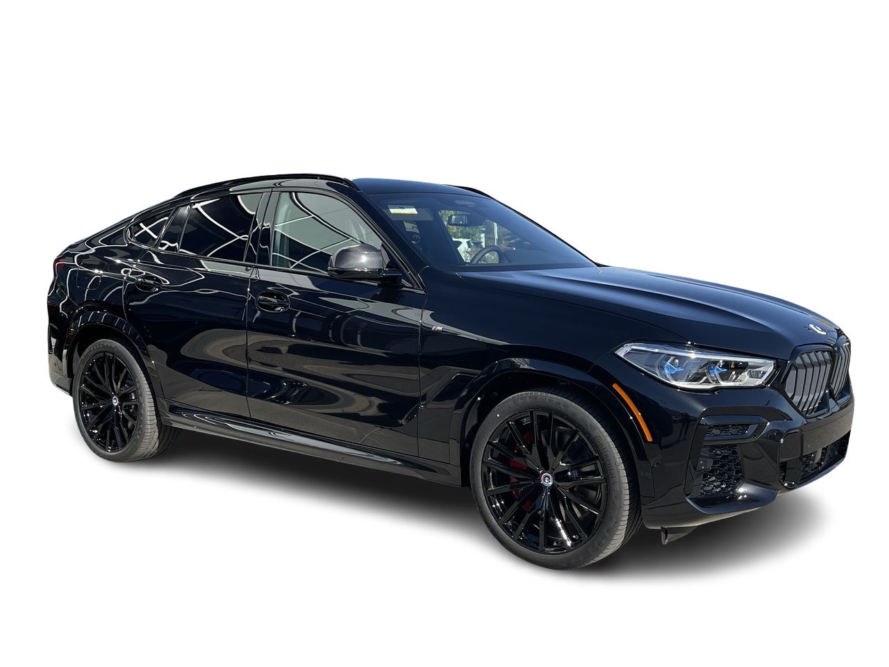 2023 BMW X6