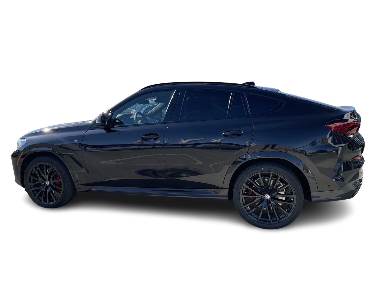 2023 BMW X6