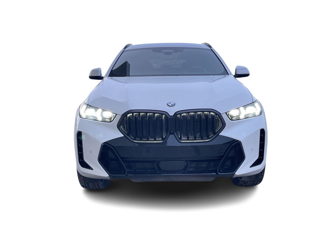 2024 BMW X6