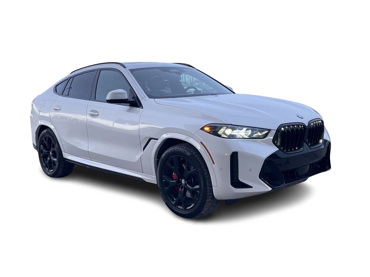 2024 BMW X6