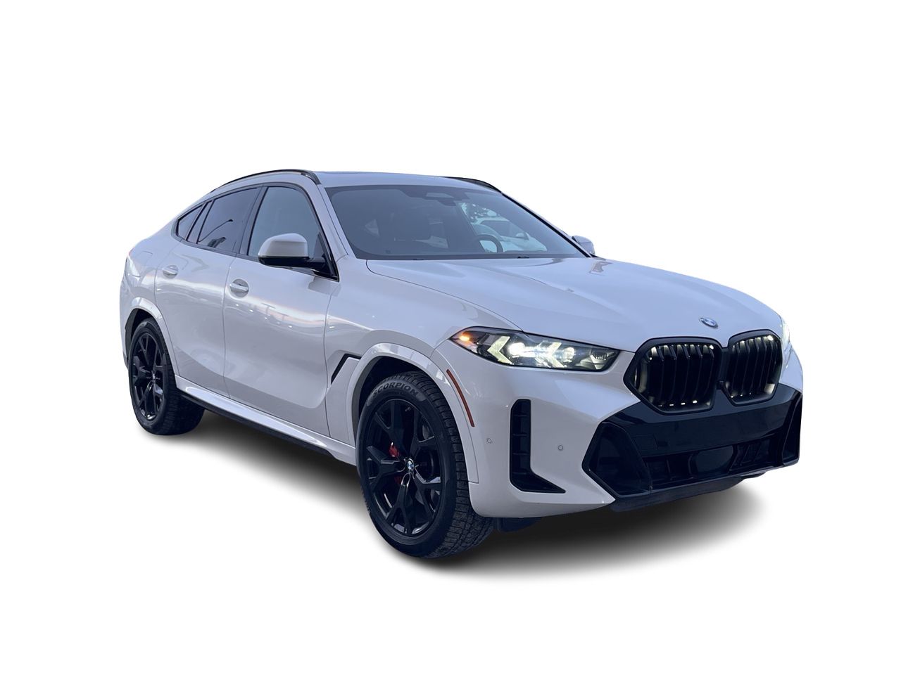 2024 BMW X6