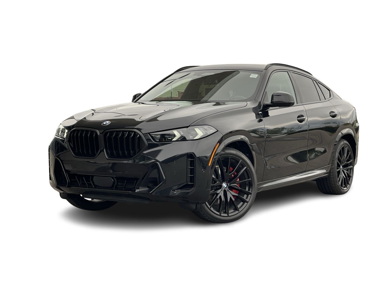 2026 BMW X6