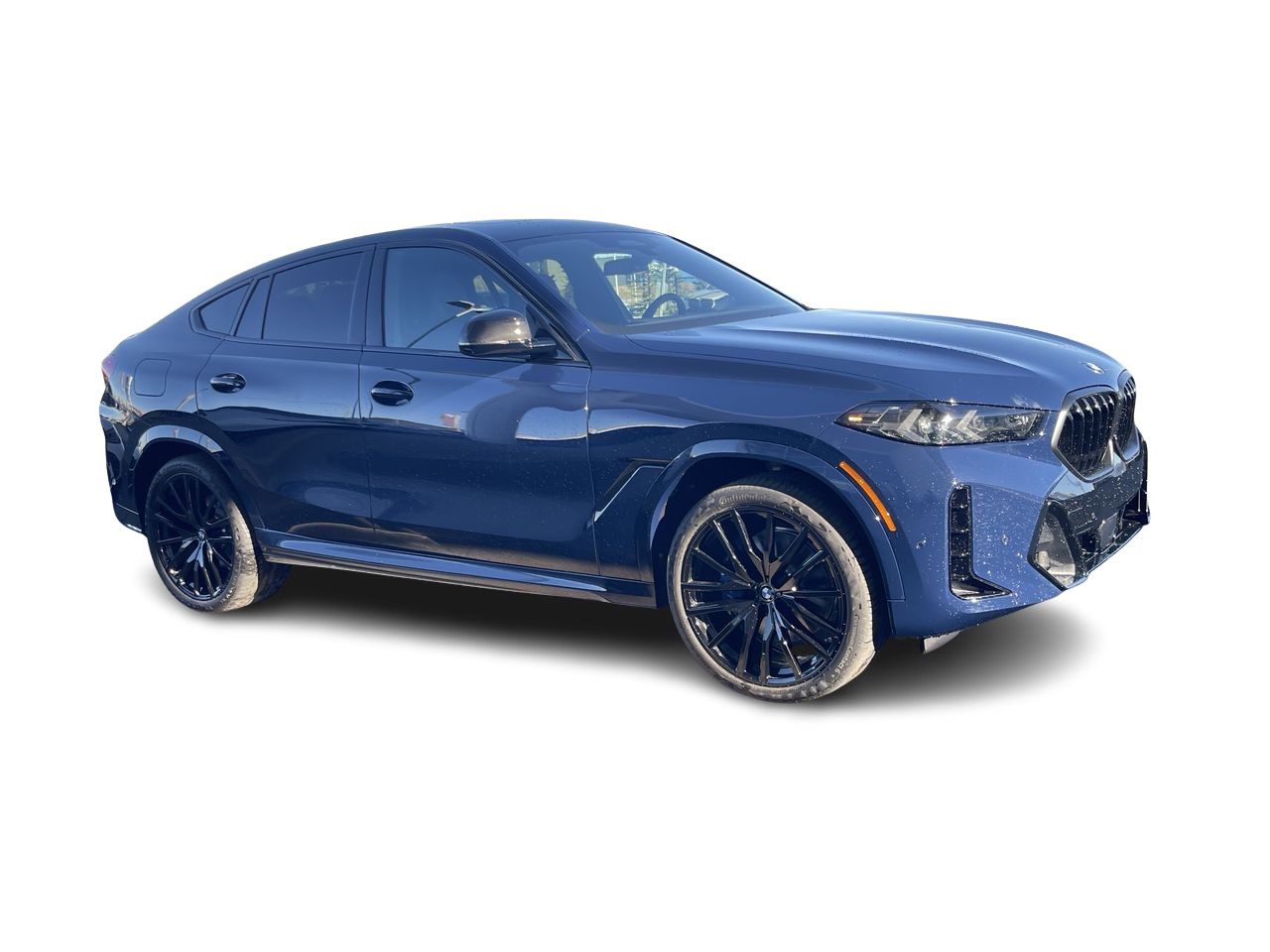 2026 BMW X6