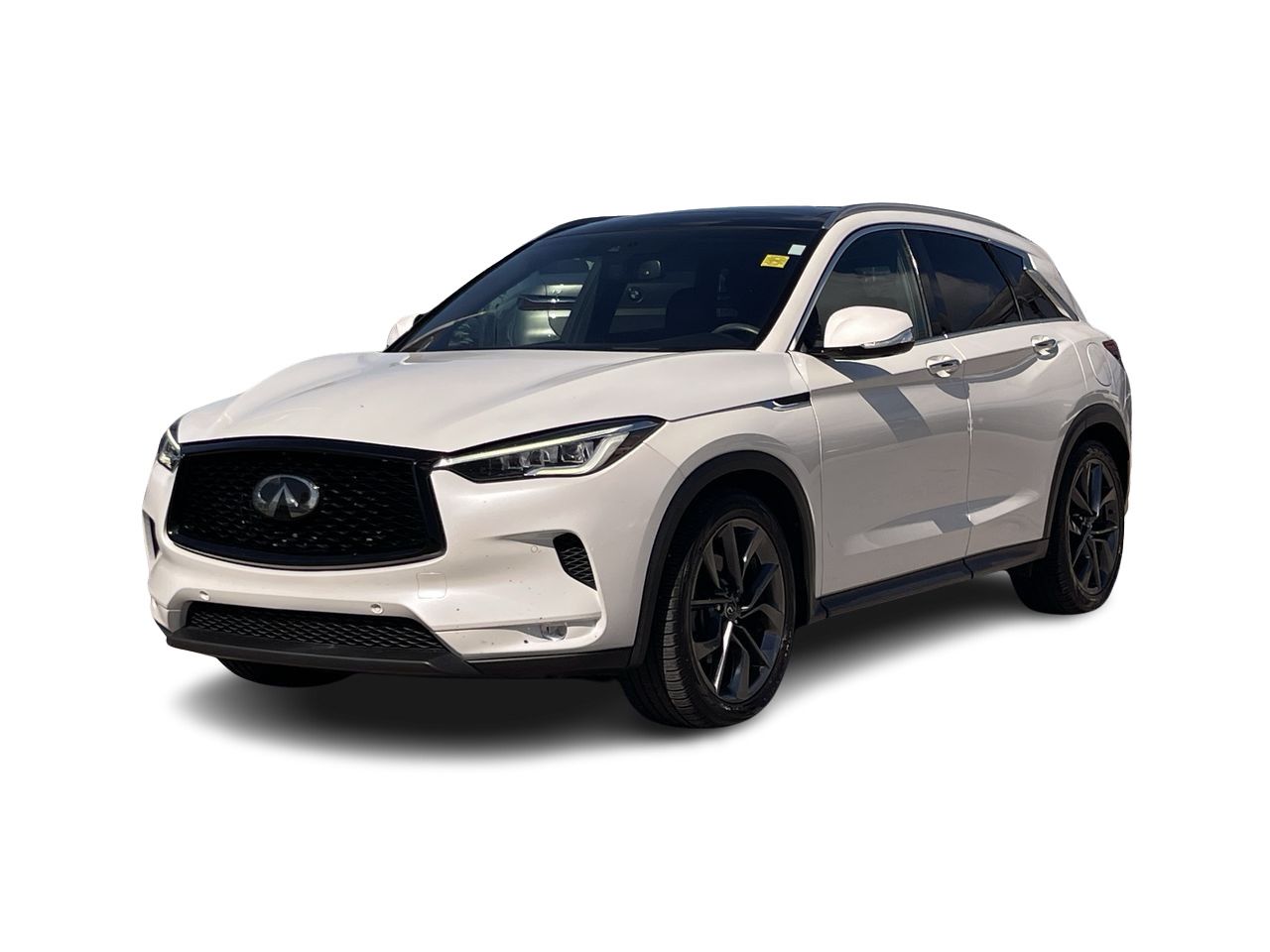 2019 Infiniti QX50 in Calgary, Alberta