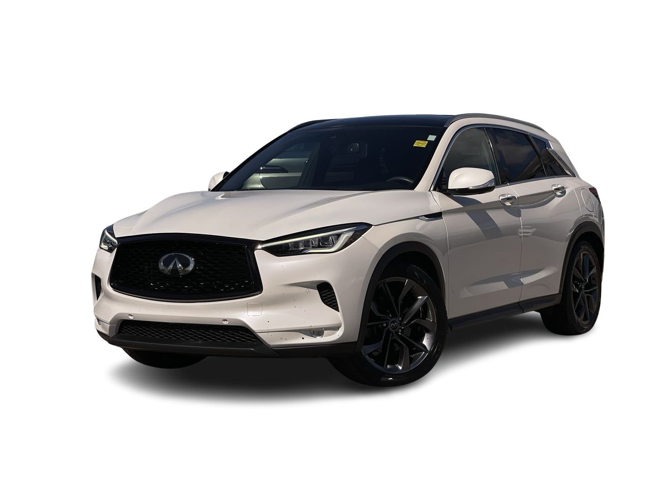 2019 Infiniti QX50 in Calgary, Alberta