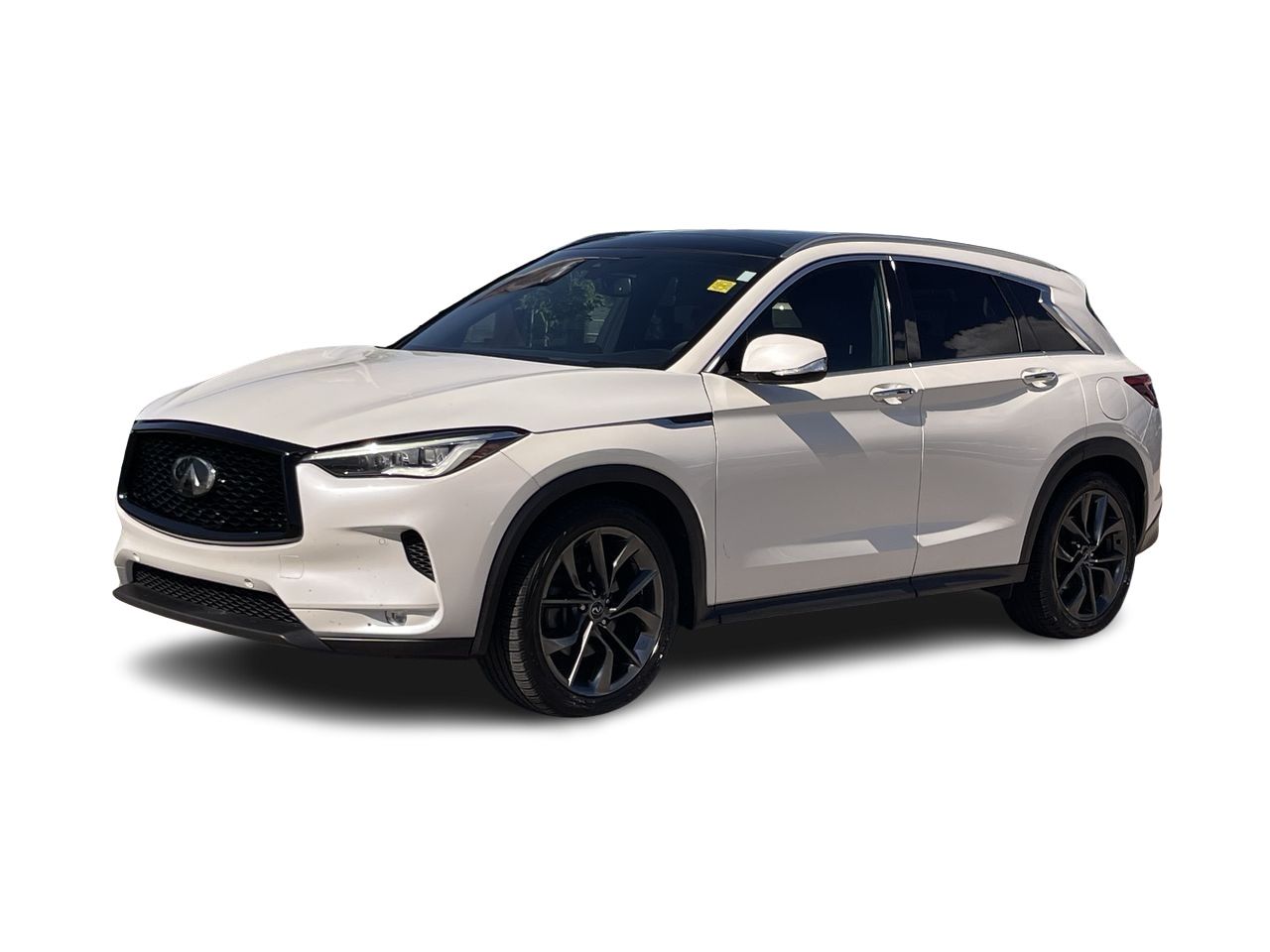 2019 Infiniti QX50 in Calgary, Alberta