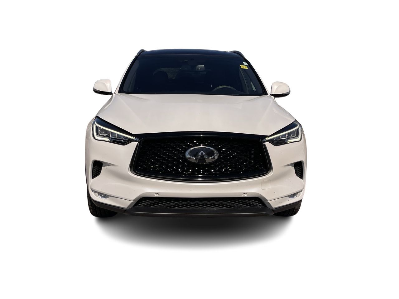 2019 Infiniti QX50 in Calgary, Alberta