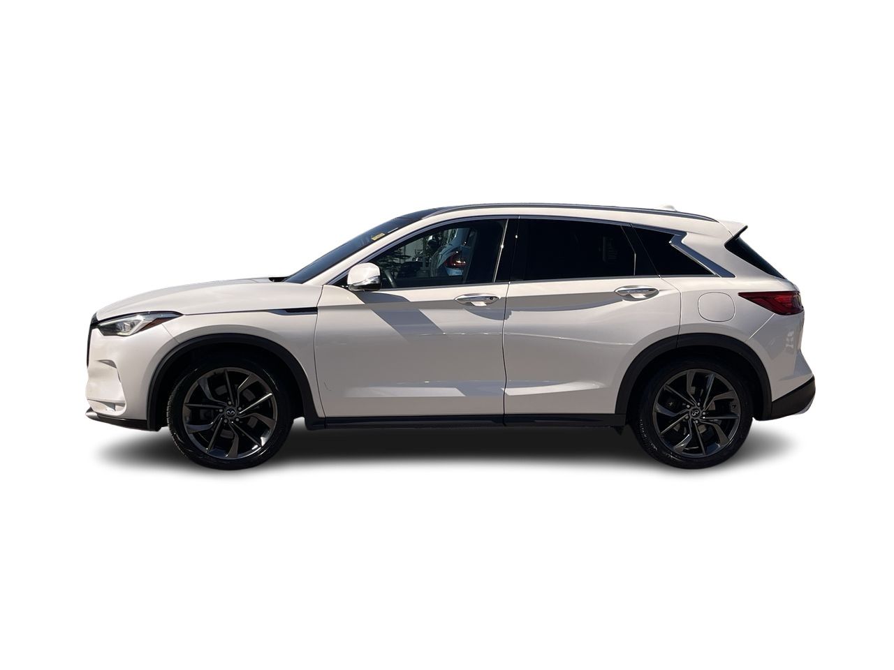 2019 Infiniti QX50 in Calgary, Alberta