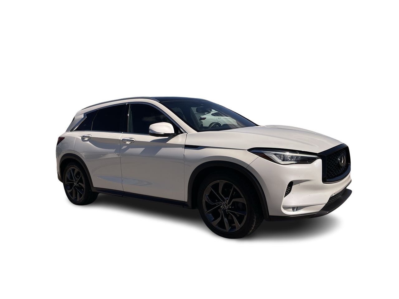 2019 Infiniti QX50 in Calgary, Alberta