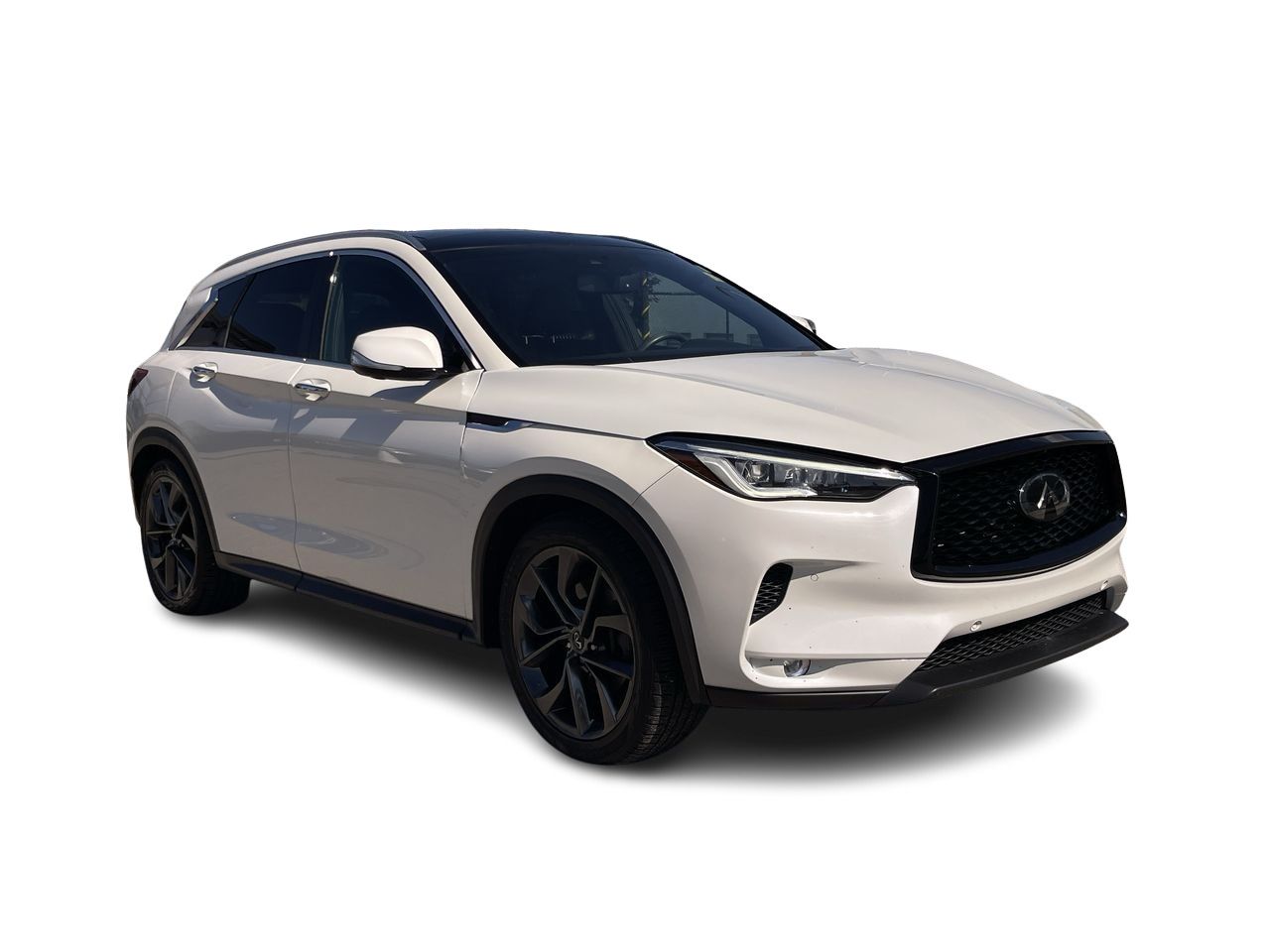 2019 Infiniti QX50 in Calgary, Alberta