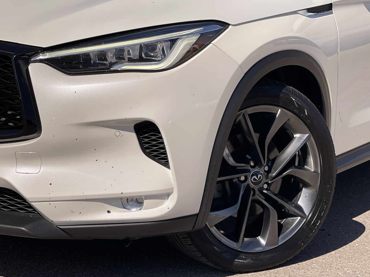 2019 Infiniti QX50 in Calgary, Alberta